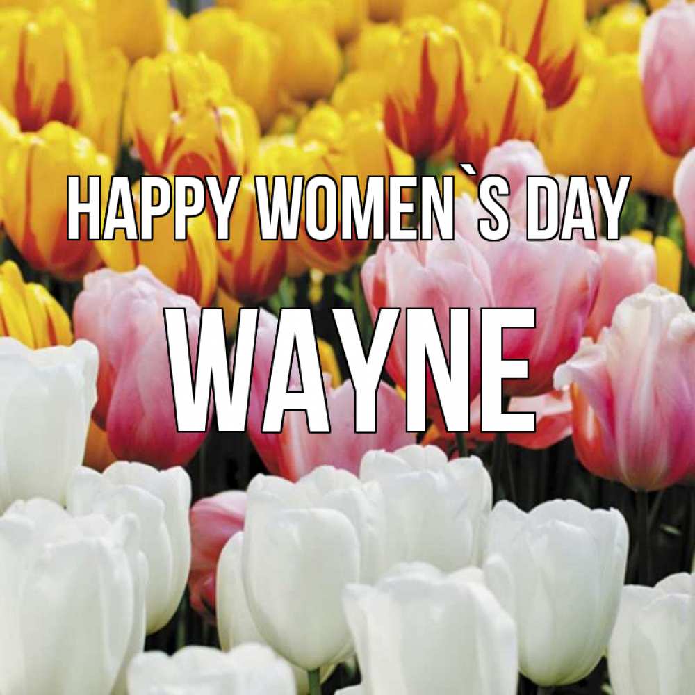 Greetings card с именем, Wayne happy women`s day разноцветные цветы Greetings with text for free download 